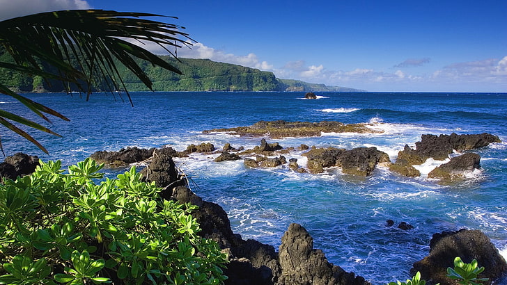 morze i zieleń drzew, krajobraz, przyroda, wyspa, tropikalny, morze, skały, Tapety HD