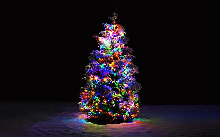 شجرة عيد الميلاد ، عيد الميلاد ، الثلج ، ملونة، خلفية HD