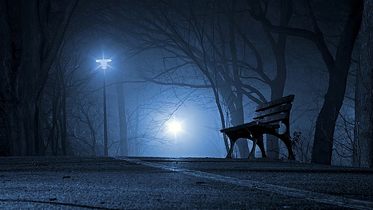 darkness, light, night, tree, moonlight, sky, street light, bench, road, street, HD wallpaper
