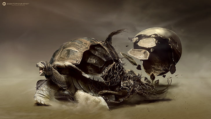 brown turtle digital wallpaper, digital art, artwork, Desktopography, animals, turtle, sand, roots, HD wallpaper