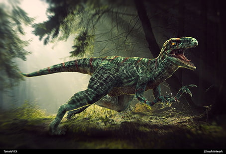 Zwierzę, Dinozaur, Welociraptor, Tapety HD HD wallpaper