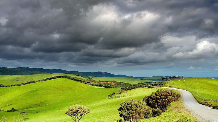 зелени равнини, пейзаж, облачно, облаци, поле, хълмове, пътека, Нова Зеландия, HD тапет