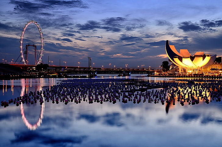 Ferris Wheel, singapore, ferris wheel, night, city lights, HD wallpaper