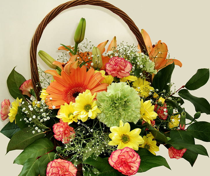 Cinzia (팬더), 자연, 꽃, colorfull, 바구니, 3d 및 초록 꽃 바구니, HD 배경 화면