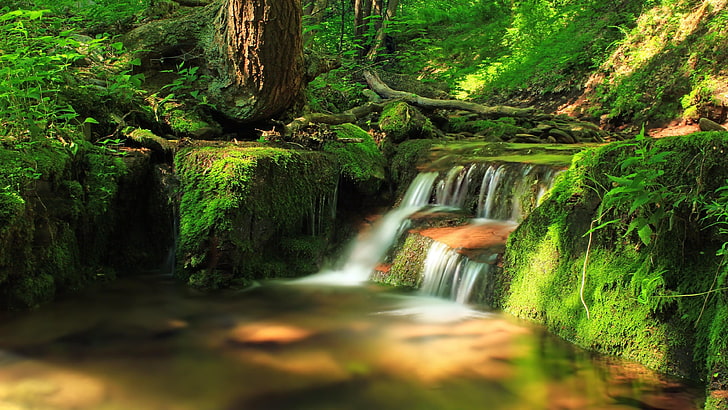 แสงแดด, น้ำ, ธรรมชาติ, น้ำตก, ป่าเขียว, ป่า, สายน้ำ, กระแส, เนื้อน้ำ, ต้นไม้, ความเป็นป่า, สวย, ห้วย, ตะไคร่น้ำ, หิน, ตะไคร่น้ำ, วอลล์เปเปอร์ HD