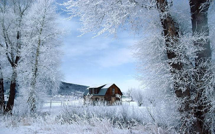 braunes Holzhaus, Haus, Bäume, Raureif, HD-Hintergrundbild