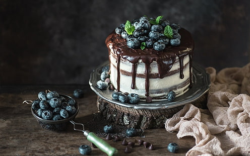 Speisen, Kuchen, Beere, Heidelbeere, Schokolade, Obst, Gebäck, HD-Hintergrundbild HD wallpaper