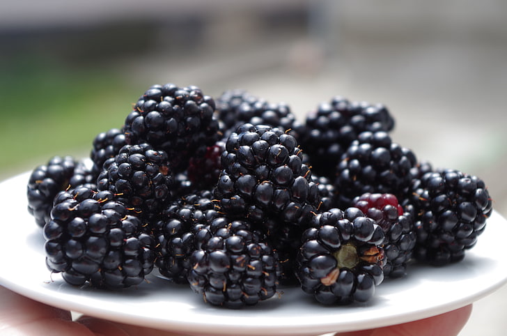 blackberry lot, blackberries, dish, ripe, berries, HD wallpaper