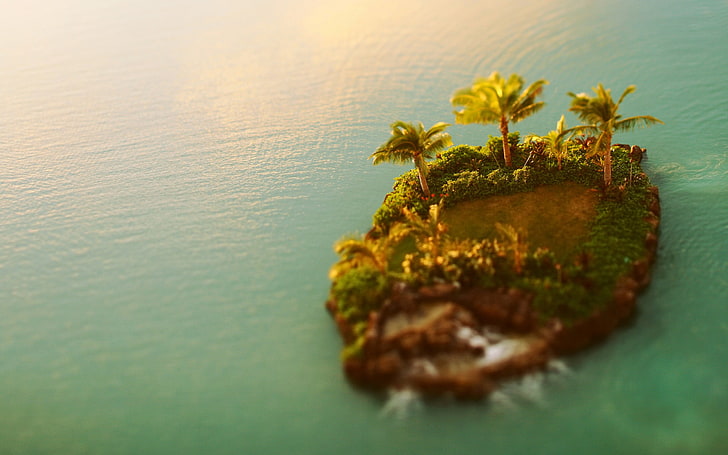 île verte et brune, nature, macro, île, mer, motu, eau, palmiers, Fond d'écran HD