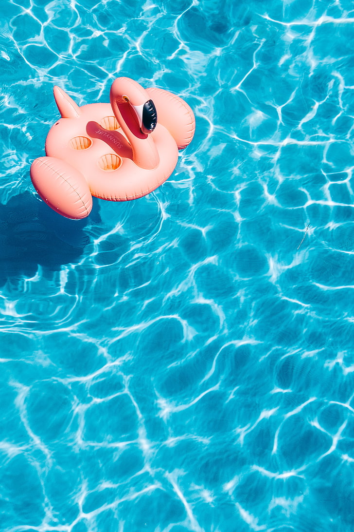pink flamingo pool floater, kolam renang, air, flamingo, musim panas, Wallpaper HD, wallpaper seluler