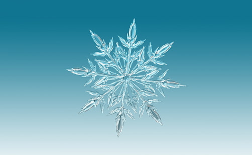 Ice Crystal, snowflakes wallpaper, Seasons, Winter, Light, Christmas, Crystal, Decoration, Snowflake, sparkle, advent, christmaseve, christmastime, icecrystal, HD wallpaper HD wallpaper