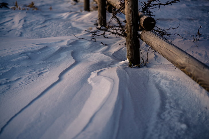الشتاء ، الثلج ، السياج ، عمق الحقل، خلفية HD