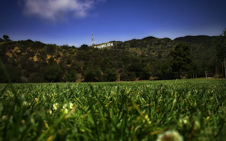 landscape worms eye view grass hollywood signs hill california, HD wallpaper