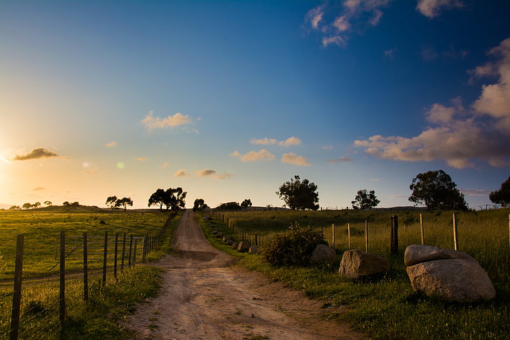 camino de tierra, puesta de sol, azul, naturaleza, Fondo de pantalla HD