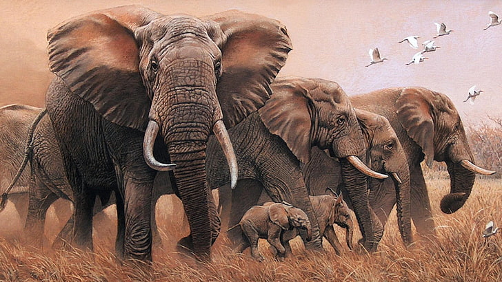 arte, pintura, obra de arte, animais selvagens, elefantes, elefante, bebê elefante, HD papel de parede
