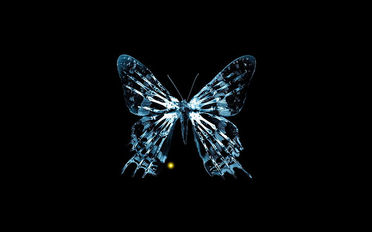 tv butterfly fringe xray bones butterfly effect 2560x1600  Animals Butterflies HD Art , tv, Butterfly, HD wallpaper