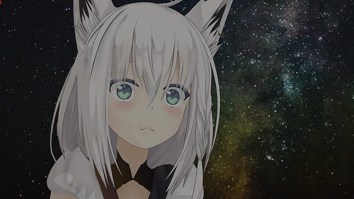 Shirakami Fubuki, Anime-Mädchen, Tierohren, Tierschwanz, Hololive, weißes Haar, Fuchsmädchen, Katzenmädchen, HD-Hintergrundbild