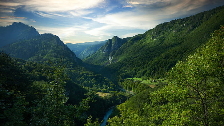 przyroda, krajobraz, chmury, drzewa, góry, tropikalny, niebo, dom, las, rzeka, Czarnogóra, kanion rzeki Tara, Tapety HD