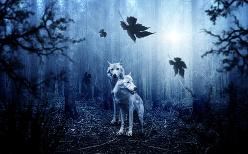 two white wolves wallpaper, wolves, predators, forest, photoshop, HD wallpaper HD wallpaper