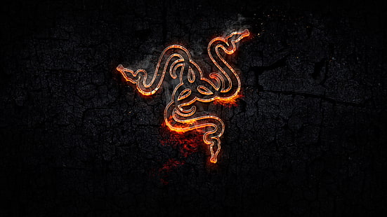 Rasierer, Logo, Feuer, Gaming, Schlange, Technologie, HD-Hintergrundbild HD wallpaper