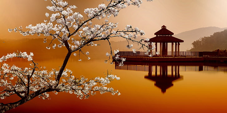 Храм коричневой пагоды, сакура, восточные пейзажи, домик на воде, HD обои