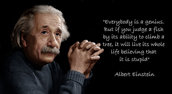 Albert Einstein HD Wallpaper, Albert Einstein with quote text overlay, Artistic, Typography, HD wallpaper HD wallpaper