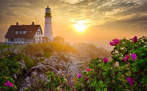 Lighthouse, morning, rocks, flowers, sunrise, Lighthouse, Morning, Rocks, Flowers, Sunrise, HD wallpaper HD wallpaper