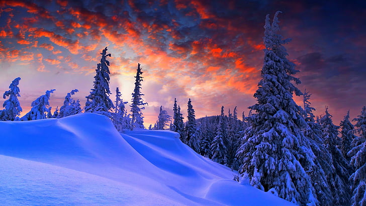 slop, tallar, gran, bergslandskap, moln, tall, rosa himmel, snöig, berg, vinter, solnedgång, träd, frysning, snö, natur, himmel, skog, HD tapet