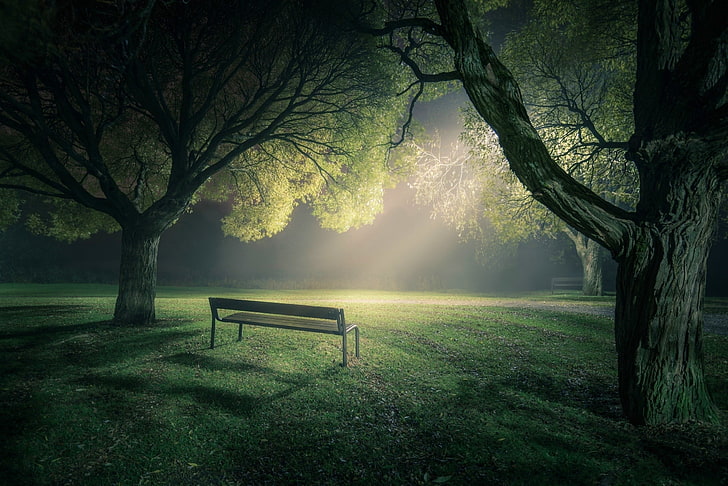 brown wooden bench, park, lawns, trees, nature, lights, green, landscape, HD wallpaper