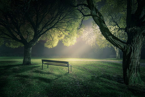 коричневая деревянная скамейка, парк, газоны, деревья, природа, огни, зелень, пейзаж, HD обои HD wallpaper