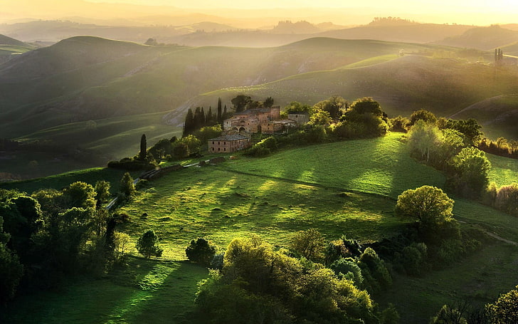 緑の芝生のフィールドと木、トスカーナ、フィールド、日光、風景、丘、イタリア、 HDデスクトップの壁紙