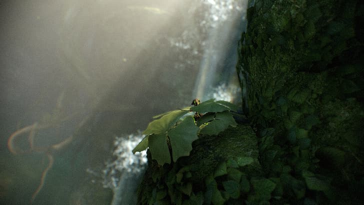 Warframe, Ivara, cascata, natura, foglie, Sfondo HD