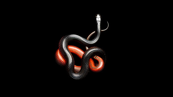 red and black snakes, snake, black, dark, animals, mamba, black background, HD wallpaper HD wallpaper