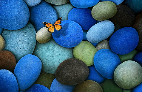 blue, bold colors, brown, butterfly, composition, monarch butterfly, shadow, stones, vivid colors, HD wallpaper HD wallpaper