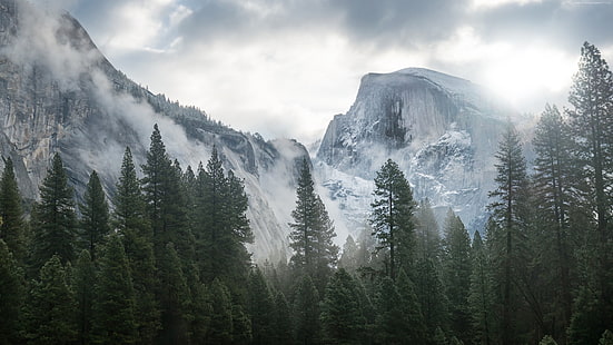 pino verde, parco nazionale di Yosemite, foresta, montagne, nuvole, paesaggio, natura, Sfondo HD HD wallpaper