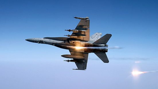 сив самолет, McDonnell Douglas F / A-18 Hornet, военен, самолет, HD тапет HD wallpaper