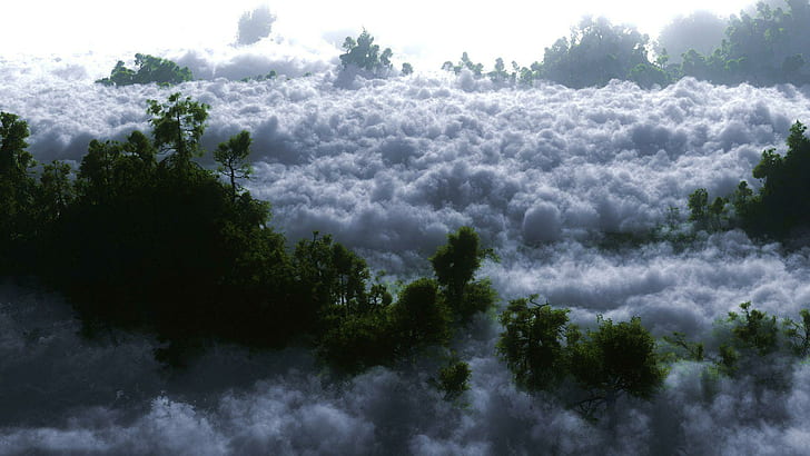 Nuvens brancas sobre a floresta, árvores de folha verde, natureza, 1920x1080, nuvem, árvore, floresta, HD papel de parede