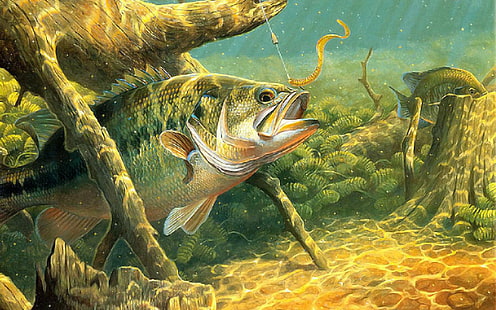 artwork, Bass, fish, fishes, fishing, lake, river, Sport, underwater, water, HD wallpaper HD wallpaper