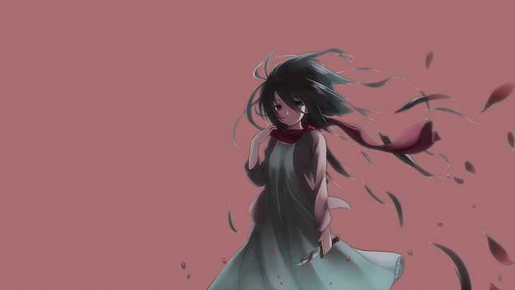 Shingeki no Kyojin, Mikasa Ackerman, gadis-gadis anime, Wallpaper HD