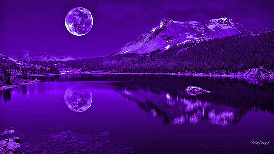 Purple Nights Reflection, reflection, full moon, mysterious, lake, mountains, purple, nature and landscapes, HD wallpaper HD wallpaper