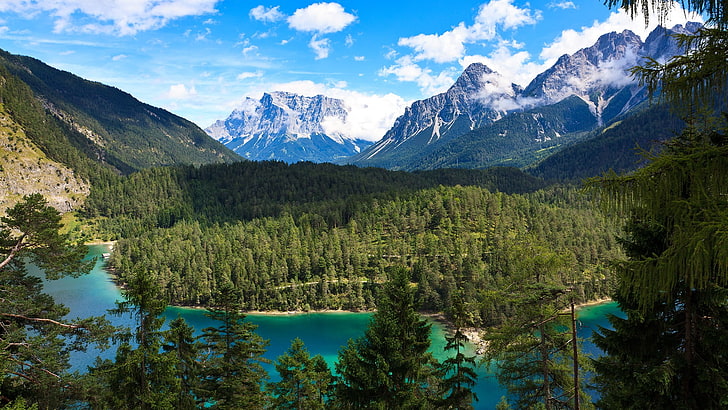 blue and green trees painting, landscape, nature, forest, mountains, pine trees, HD wallpaper