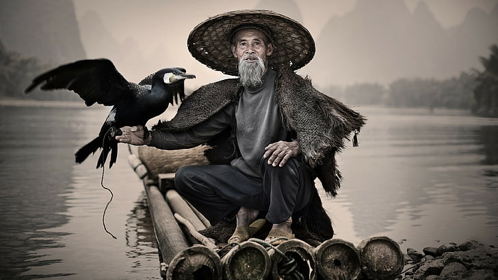 homem de camisa cinza e calça preta, sentado com pássaro preto, Cormorão, Rio Li, Xingping, China, vila de pescadores, pássaro, Concurso de fotografia do viajante National Geographic, HD papel de parede