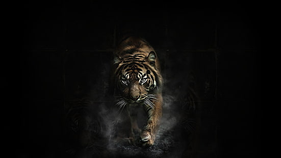 tigre marrón adulto, tigre, animales, oscuro, ilustraciones, Fondo de pantalla HD HD wallpaper