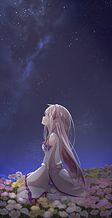 gråhårig kvinnlig anime karaktär, Emilia (Re: Zero), landskap, spetsiga öron, Re: Zero Kara Hajimeru Isekai Seikatsu, stjärnor, porträttvisning, HD tapet HD wallpaper