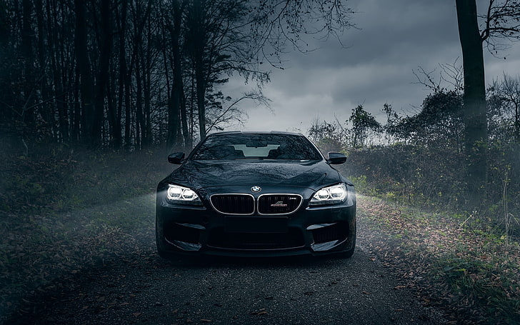 carro BMW preto, bmw m6, preto, floresta, nevoeiro, pára-choques dianteiro, HD papel de parede