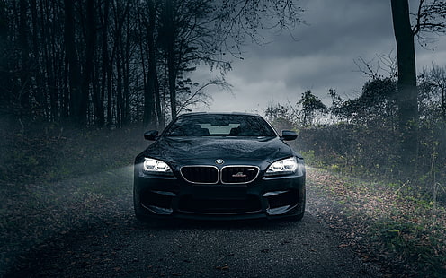 voiture BMW noire, bmw m6, noire, forêt, brouillard, pare-chocs avant, Fond d'écran HD HD wallpaper
