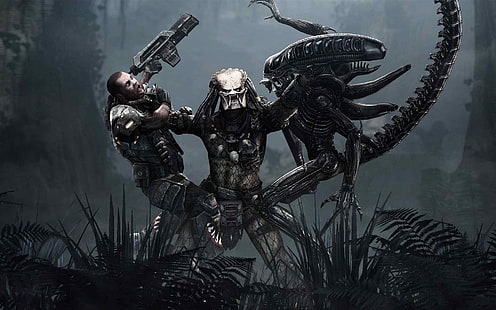 วอลล์เปเปอร์ดิจิทัล Predator และ Alien, Predator (ภาพยนตร์), เอเลี่ยน (ภาพยนตร์), วิดีโอเกม, Xenomorph, วอลล์เปเปอร์ HD HD wallpaper