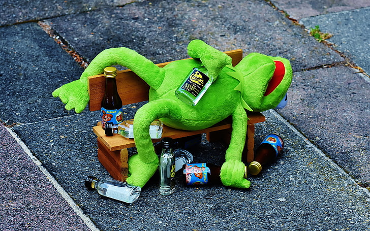 Kermit den Nebel auf einer braunen Holzbank, Kermit der Frosch, The Muppets, Jim Henson, betrunken, Wodka, Humor, HD-Hintergrundbild