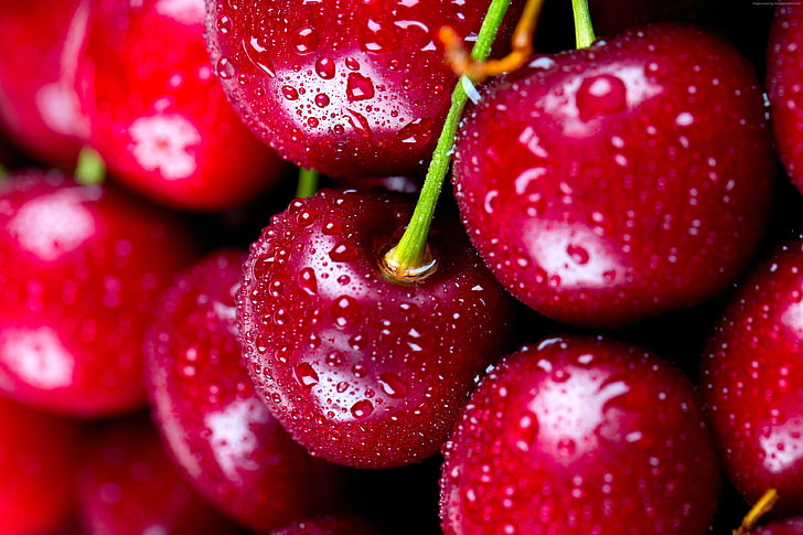delicious, cherries, 4k, HD wallpaper