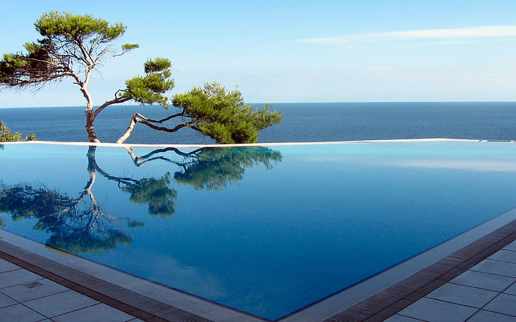 Tree By The Pool, photography, ocean, nature, tree, pool, 3d and abstract, HD wallpaper